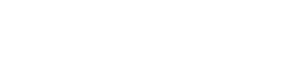 ng logo